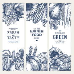 Wall Mural - healthy organic food vertical engraved banner collection. fresh vegetables design template. vector i