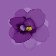 Vector violet flower.