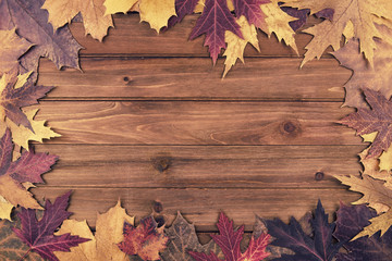 Wall Mural - Autumn maple leaves over wooden background. Top view.