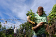 © Gary Radler Photography/Stocksy - Man with a Pot Plant in a Garden Bed