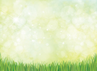 Wall Mural - vector green grass border, bokeh, nature background.