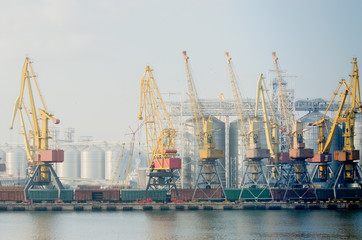 Marine Station. Cranes unload new cargo from ships