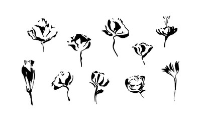 Set of hand drawn brush paint flowers painted by ink. Grunge style abstract elements for design. Black isolated vector.