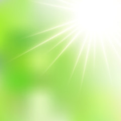 Wall Mural -  Spring Green Sunshine Soft Focus Burst - Vector Blurred Radiant Sun Rays
