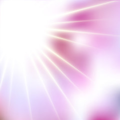 Wall Mural -  Spring Pink Sunshine Soft Focus Burst - Vector Blurred Radiant Sun Rays

