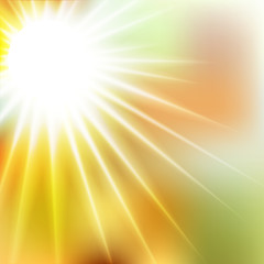 Wall Mural - Summer Sunshine Soft Focus Burst - Vector Blurred Radiant Sun Rays
