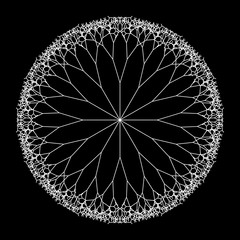 Wall Mural - round vector computer generated l-system branching fractal - pythagorean tree mandala - generative a