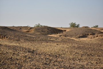 Poster - beautiful scene in thar desert of jaisalmer rajasthan india