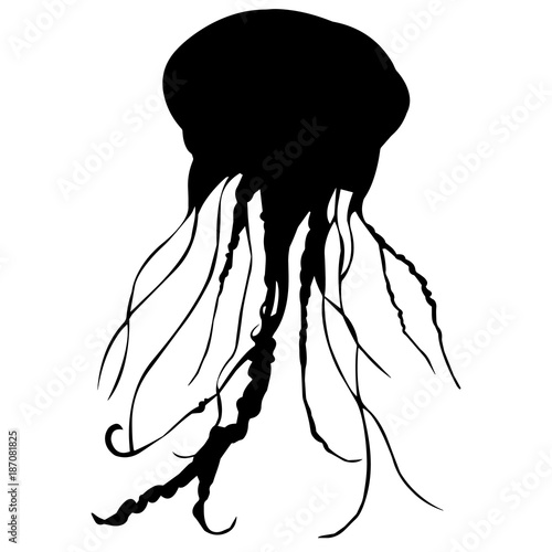 Download Jellyfish Silhouette Vector Graphics - Buy this stock ...