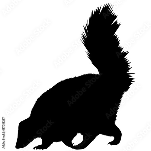 Skunk Silhouette Vector Graphics Stock Vector | Adobe Stock