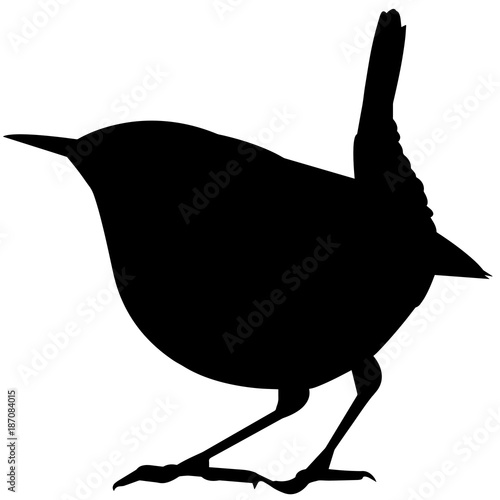 Cuadros en Lienzo Wren Silhouette Vector Graphics