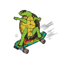 Cartoon Character Of Turtle In Glasses On Colorful Skateboard, Hand Drawn Doodle Sketch, Isolated Vector Color Illustration