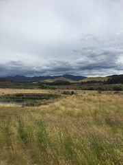 Wall Mural - Manuka forest and panoramic vista near Poronui Station, Taupo New Zealand