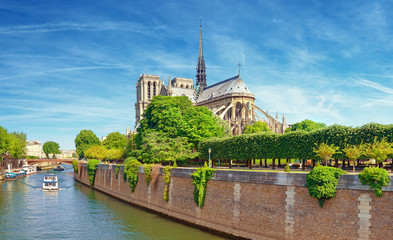 Fototapete - Notre Dame Cathedral in Paris from the nearby bridge