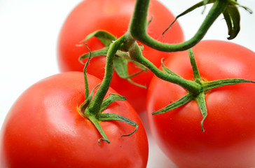 Tomatoes