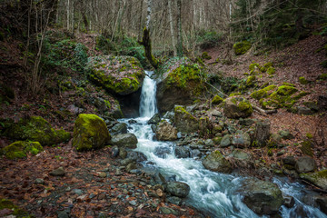  Water flowing down rocks, moss on the rocks, Svaneti, Georgia