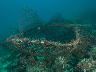 Wall Mural - Opened fishing cage