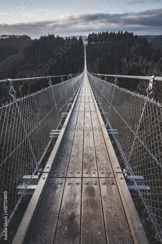 Fototapeta most wiszący  most-wiszacy-geierlay-ii