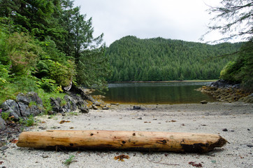 A peaceful remote cove on the ocean