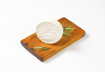 Canvas Print - cheese with white rind