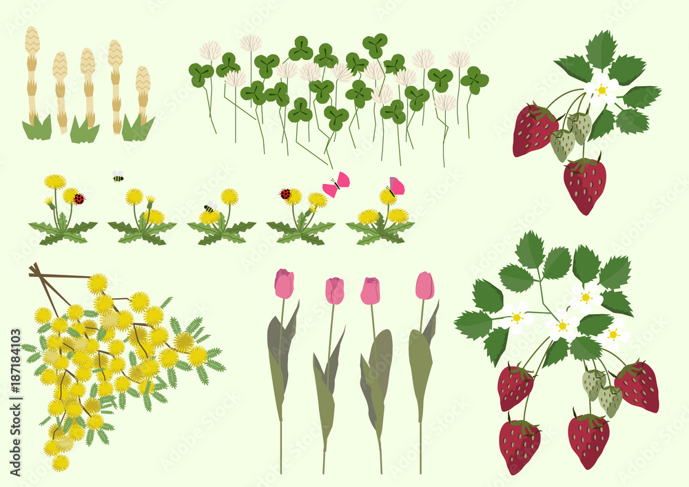 ミモザの花と春の植物 春のイメージ イラスト素材集 Wall Mural Tomoko Arakawa ミモザの花と春の植物 春のイメージ イラスト素材集 Wall Mural Tomoko Arakawa