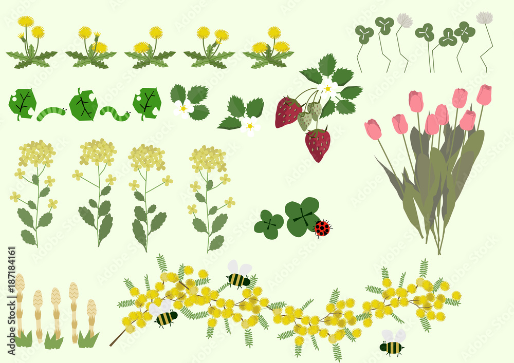 ミモザの花と春の植物 春のイメージ イラスト素材集 Wall Mural Tomoko Arakawa ミモザの花と春の植物 春のイメージ イラスト素材集 Wall Mural Tomoko Arakawa
