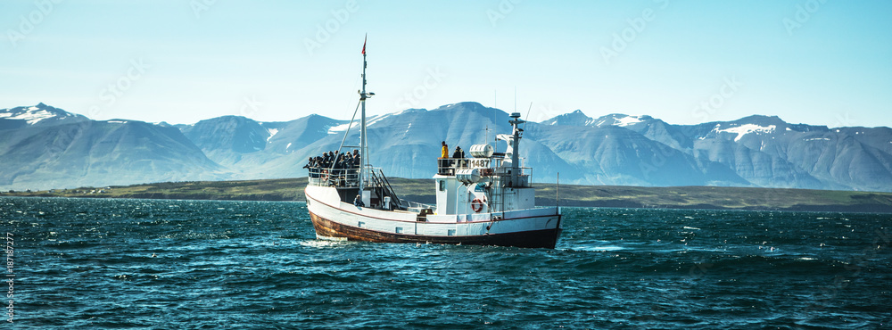 Icelandic fishing boat for whale watching. - obrazy, fototapety, plakaty 