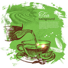 Tea Vintage Background. Hand Drawn Sketch Illustration. Menu Design