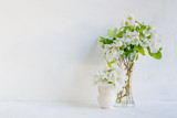 Fototapeta Kwiaty - White flowers in a vase on a light background