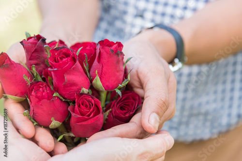 red rose for girlfriend