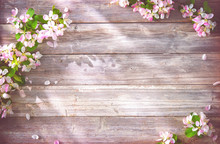 Spring Blooming Branches On Wooden Background