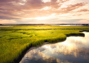 Aerial view of a swamp at sunrise