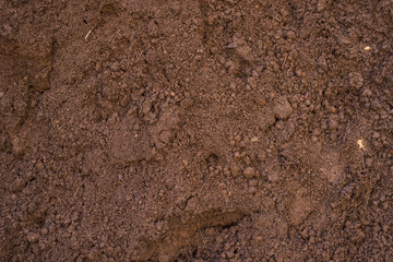 Wall Mural - Sandy loam - soil background, texture