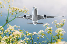 Passenger Commercial Airplane Flies Over Flower Fields At The Airport.
