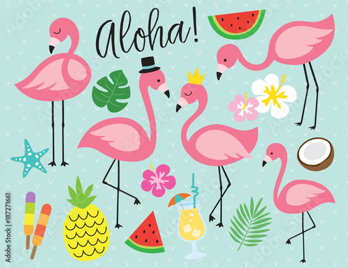 Fotomural Cute flamingo with tropical summer vector illustration graphic elements such as pineapple, watermelon, hibiscus, coconut, pina colada, etc