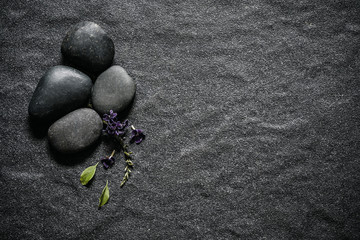 Wall Mural - black stone with green leaf and smallthe cute purple flower decoration on stone plate background wit