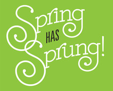 Spring Has Sprung Vector Design.
Fun Custom Drawn Text With Fancy Swash Letters And Bold Outline On Green Background.