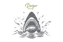 Danger Concept. Hand Drawn Mouth Of A Shark Like Symbol Of Danger. Sea Predator Isolated Vector Illustration.