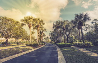 Wall Mural - Gated community road with palms, South Florida. Vintage colors