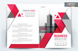 Brochure Cover Layout with Red Triangle , A4 Size Vector Template