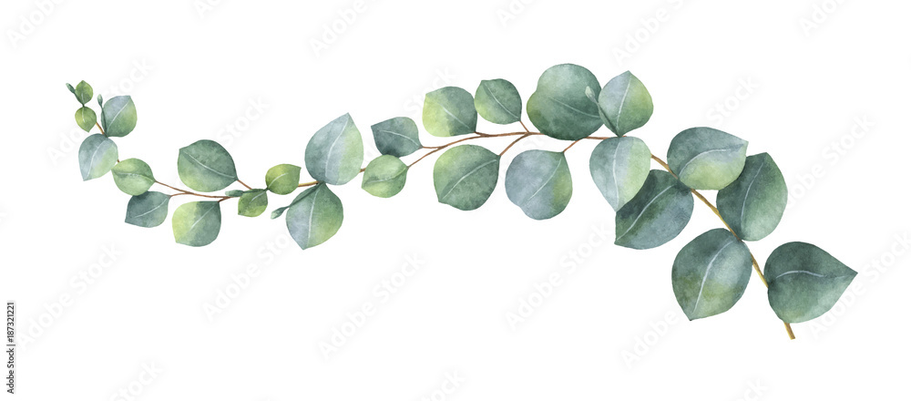 Foto-Schiebegardine Komplettsystem - Watercolor vector wreath with green eucalyptus leaves and branches.