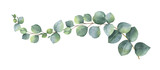 Fototapeta  - Watercolor vector wreath with green eucalyptus leaves and branches.