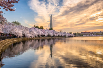 Washington DC, USA in Spring