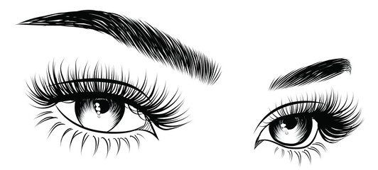 Wall Mural - Hand-drawn woman's sexy luxurious eye with perfectly shaped eyebrows and full lashes. Idea for business visit card, typography vector. Perfect salon look.