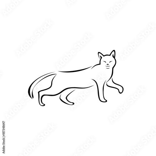 Simple Cat Design White Background This Stock Vector And Simple Cat Design White Background