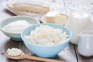 Organic Farming Cottage cheese in a blue bowl, sour cream, butter, cheese and milk