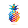 Pineapple icon. Splash paint symbol