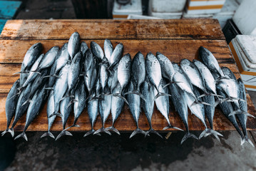 The market for marine fish. Street market. Sale of fresh fish. Freshly caught fish. Fish shop. Products for the restaurant. Fishery. Asian cuisine. Seafood. Healthy diet. Fisherman. Catch. Fresh food