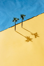 Two Coconut Tree On Beach