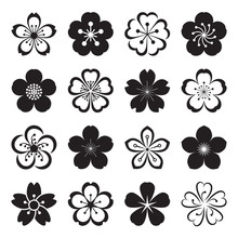 Sakura Icons. Collection Of 16 Ume Japanese Cherry Blossom Symbols Isolated On A White Background. Vector Illustration